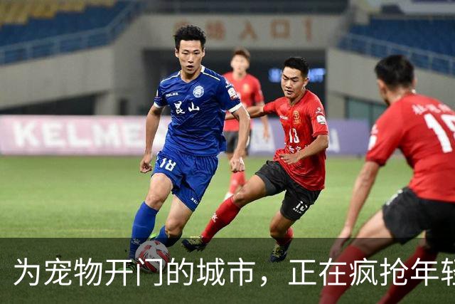 为宠物开门的城市，正在疯抢年轻人