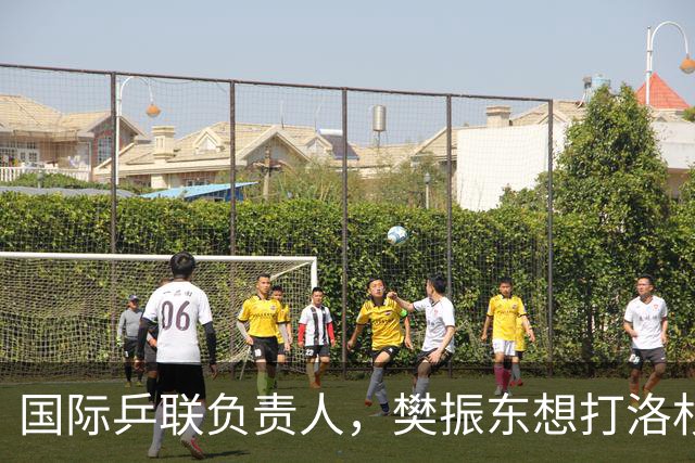 国际乒联负责人，樊振东想打洛杉矶奥运会，没有第三条路？