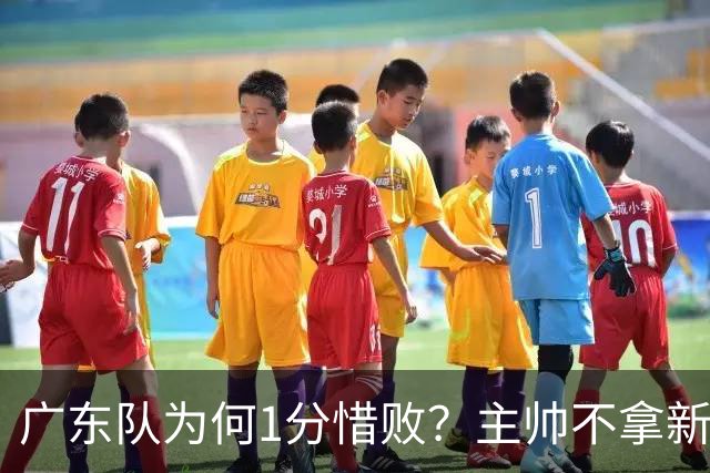 广东队为何1分惜败？主帅不拿新援磨合说事，胡明轩说得非常实在