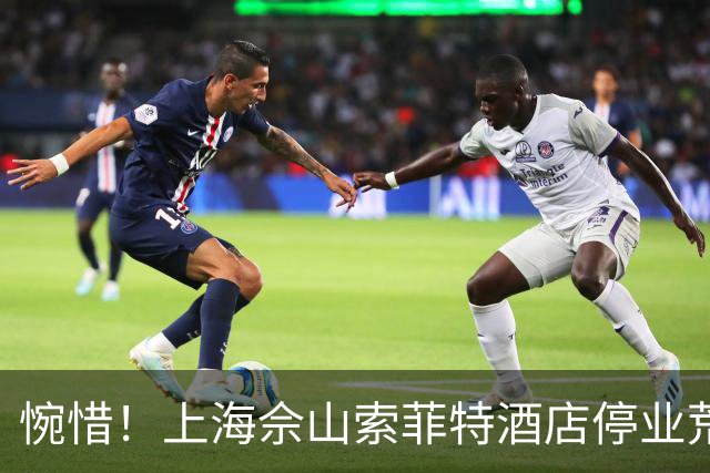 惋惜！上海佘山索菲特酒店停业荒置九年：曾经的“小三亚”，如今只剩荷花自开自谢，什么时候能重获新生？