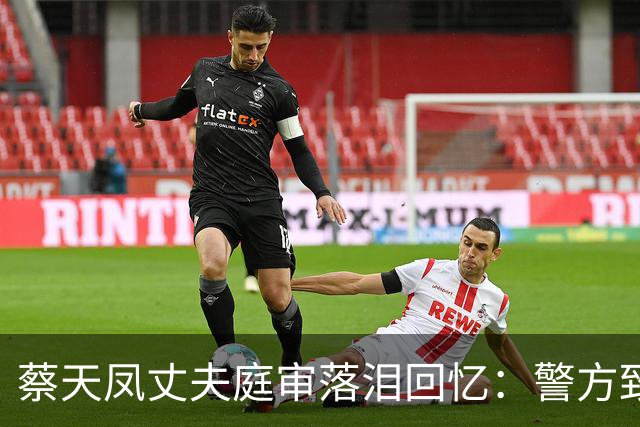 蔡天凤丈夫庭审落泪回忆：警方致电称，坐你旁边的邝港杰是疑凶